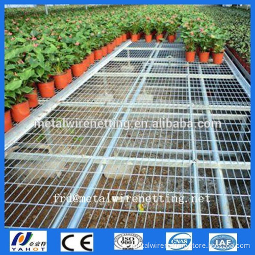 HOT SELLING prefabricate TOP quality The greenhouse seedbed net